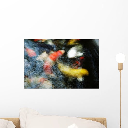 Japan, Tokyo, Koi In Pond Wall Mural
