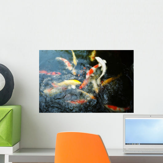 Japan, Tokyo, Koi In Pond Wall Mural