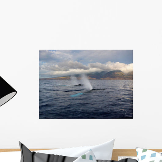 Hawaii, Maui, The Spout Of Two Humpback Whales Wall Mural