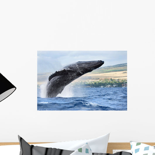 Hawaii, Maui, Humpback Whale Breaching With Island In The Background Wall Mural