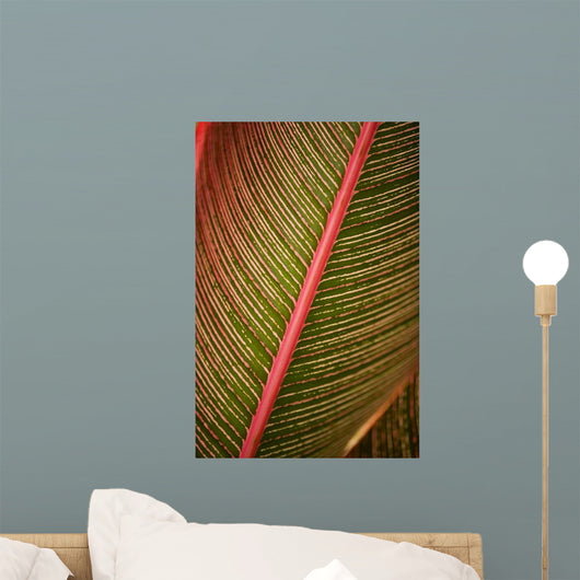 Hawaii, Maui, Variegated Ti-Leaf Plant Wall Mural