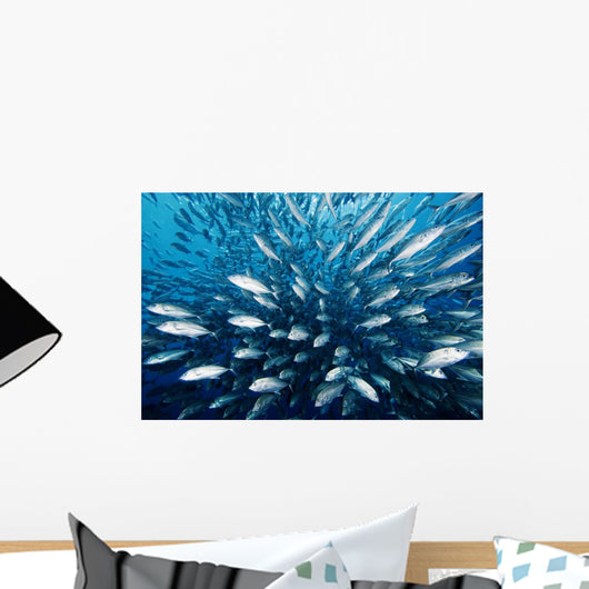 Schooling Bigeye Jack Fish Wall Mural