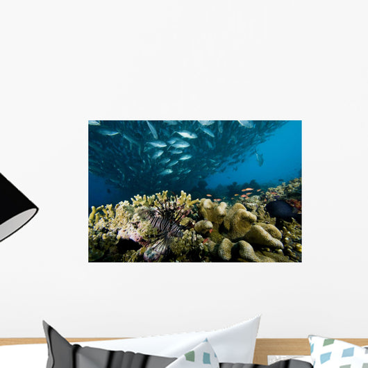 Malaysia, Reef Scene With Lionfish And Schooling Jack Fish Wall Mural