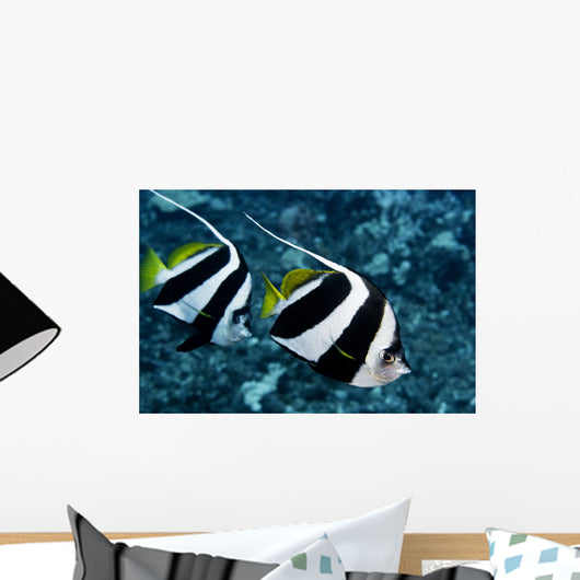 Hawaii, Two Pennant Bannerfish Gliding Through Water Together Wall Mural