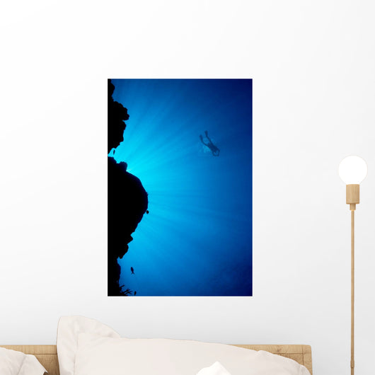Diver In Distance Wall Mural