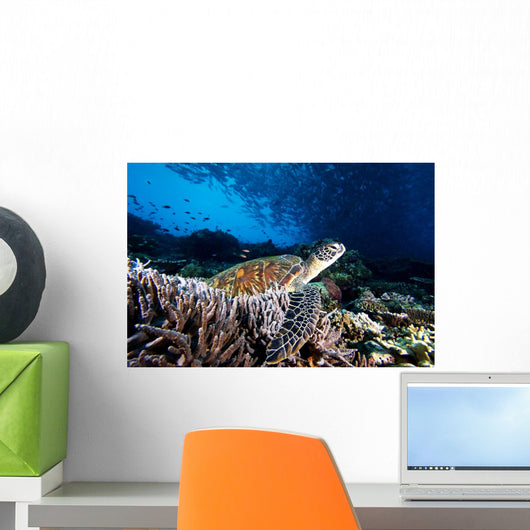 Swarm Of Bigeye Jack Fish Overhead Wall Mural