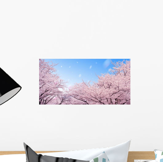 Cherry Blossoms
