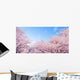 Cherry Blossoms