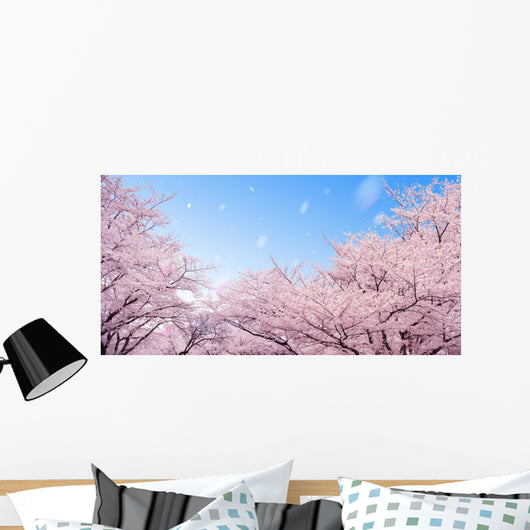 Cherry Blossoms