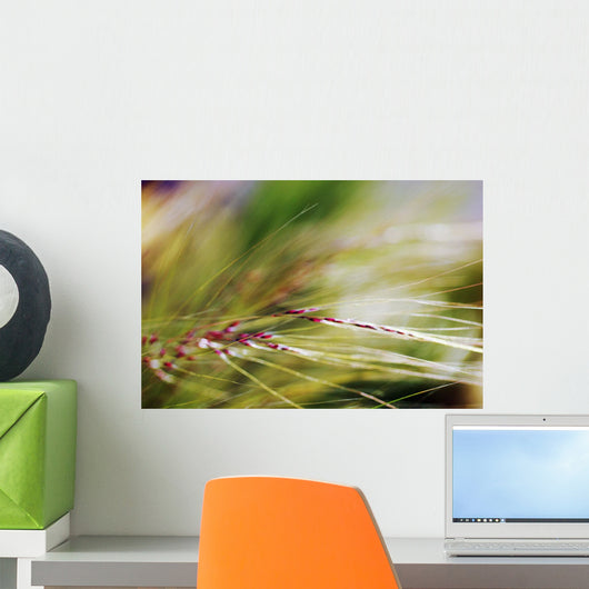 Abstract Of Windblown Ornamental Grass Wall Mural