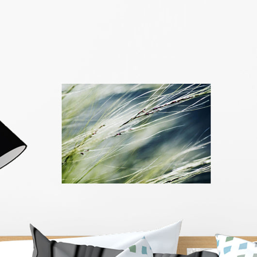 Abstract Of Ornamental Grass Wall Mural