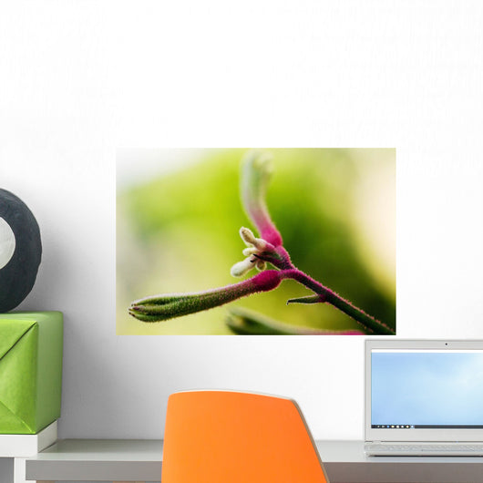 Close-up of colorful Cottonwood Bud Wall Mural