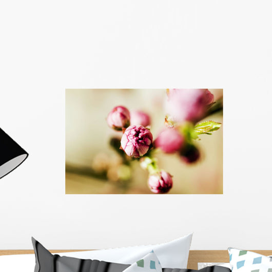 Close-up of Pink Budding Flower Wall Mural