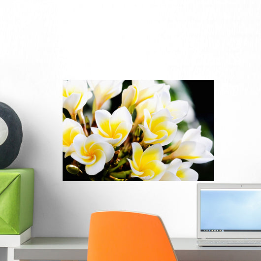 Thailand Phuket Kata Noi Wall Decal Design 1