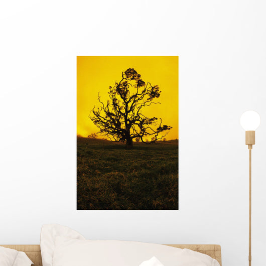 Hawaii Big Island Mauna Wall Decal