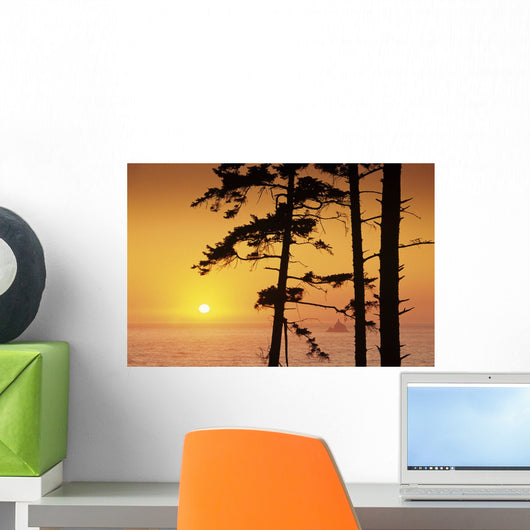 USA Ecola State Park Wall Decal