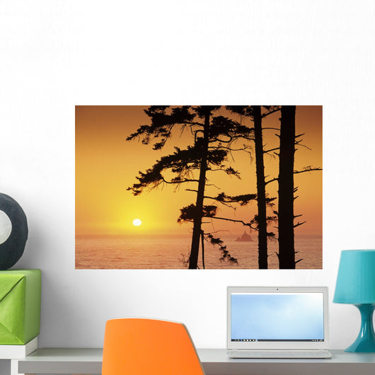 USA Ecola State Park Wall Decal