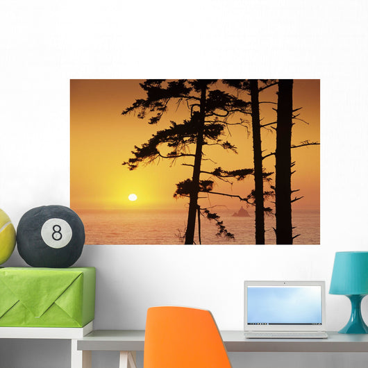 USA Ecola State Park Wall Decal