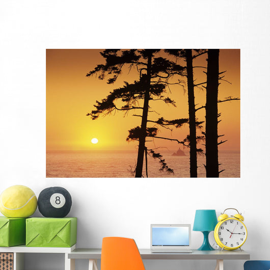 USA Ecola State Park Wall Decal
