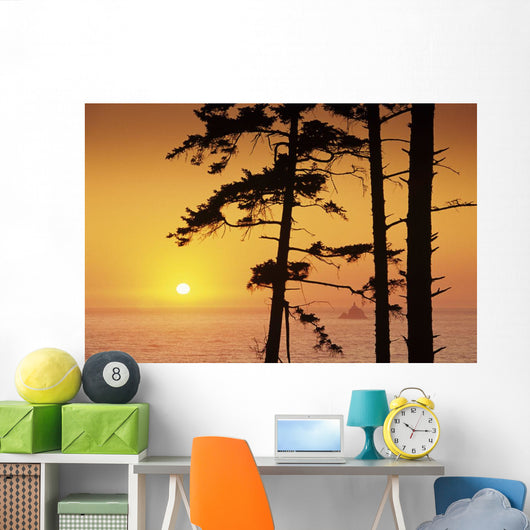USA Ecola State Park Wall Decal