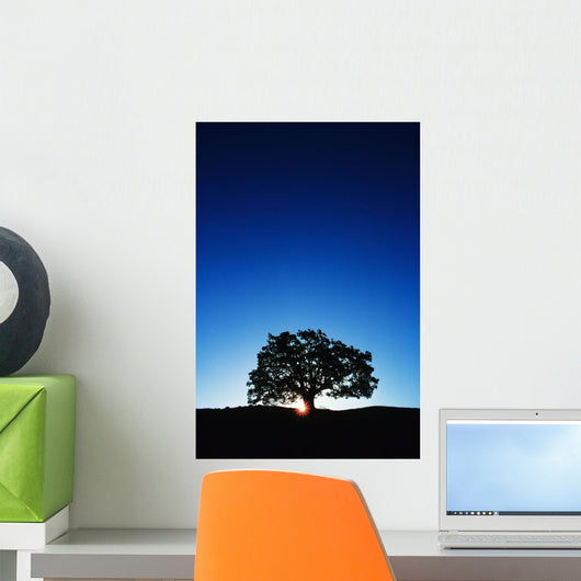 Hawaii Big Island Koa Wall Decal