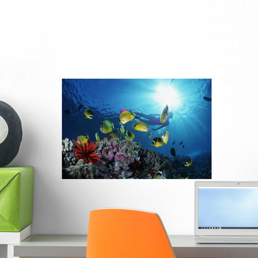 Female Snorkeler Silhouetted with Wall Decal