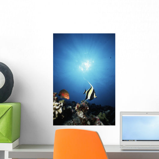 USA with Sunburst Wall Decal