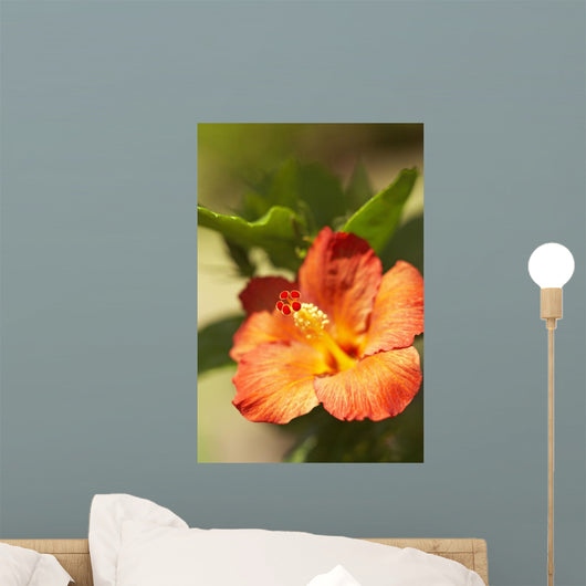 French Polynesia Tahiti Maupiti Wall Decal Design 2