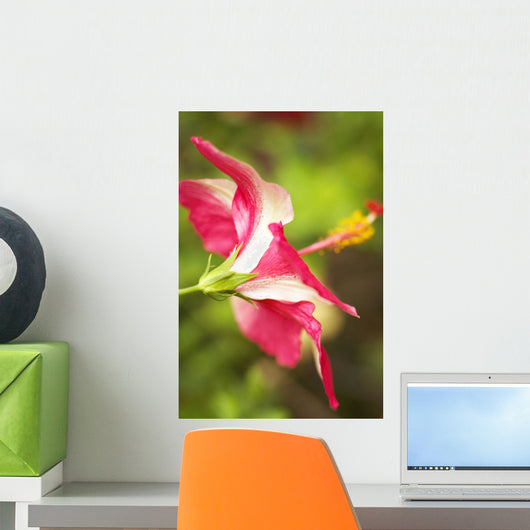 French Polynesia Tahiti Maupiti Wall Decal Design 1