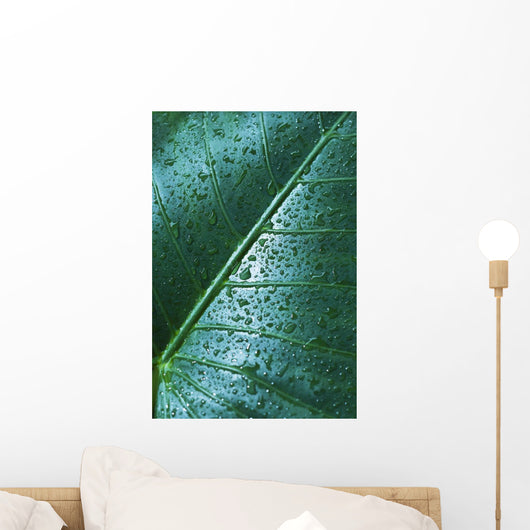 Water Drops Elephant Ear Wall Decal Design 2