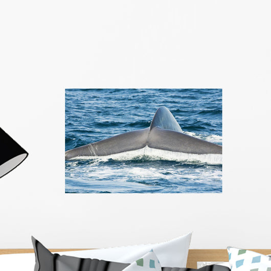 USA Tail Fluke Blue Wall Decal