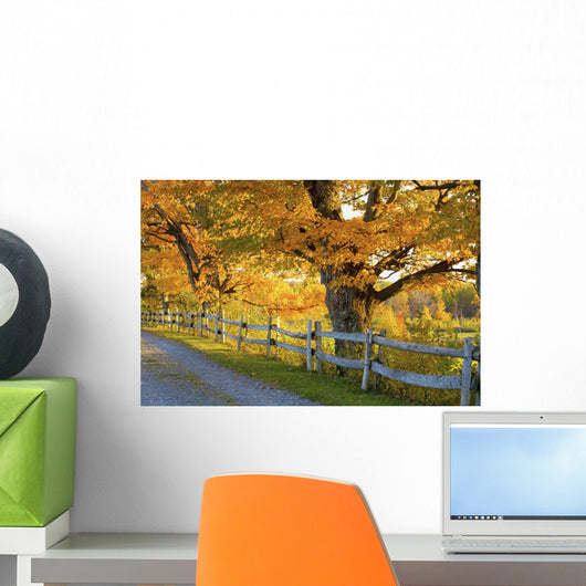 Trees Autumn Colors and Wall Decal