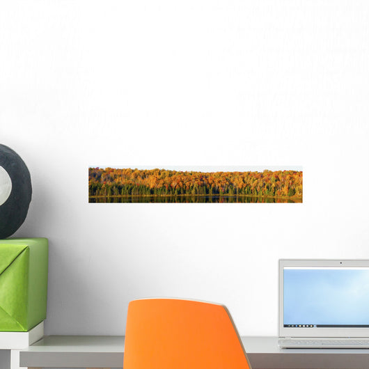 Panorama Trees along Water's Wall Decal
