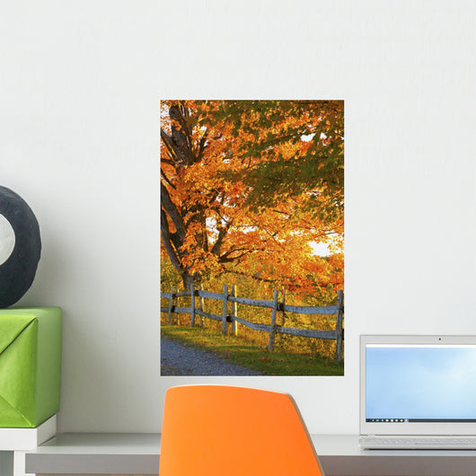 Maple Trees and Rail Wall Decal