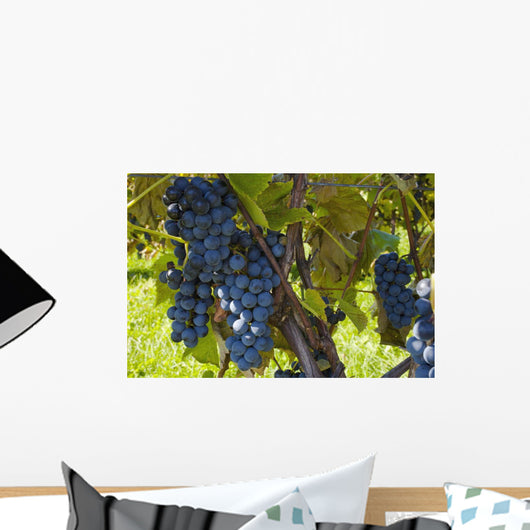 Grapes Vine Wall Decal Design 2