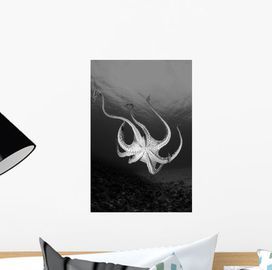 USA Day Octopus Wall Decal Design 2