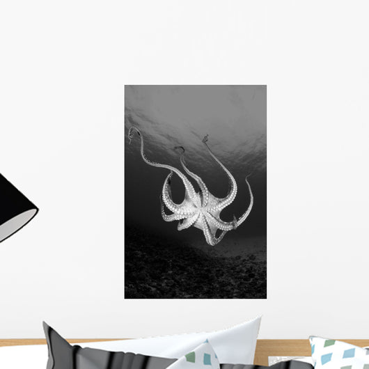 USA Day Octopus Wall Decal Design 2