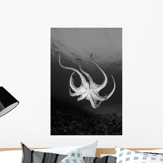 USA Day Octopus Wall Decal Design 2