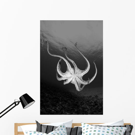 USA Day Octopus Wall Decal Design 2