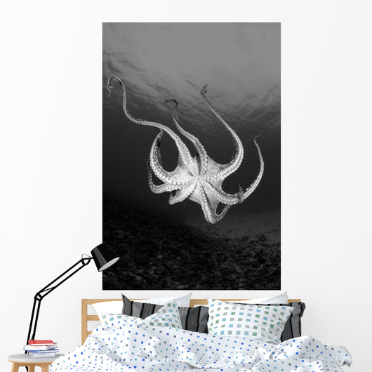 USA Day Octopus Wall Decal Design 2