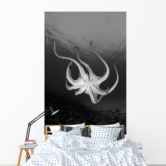 USA Day Octopus Wall Decal Design 2