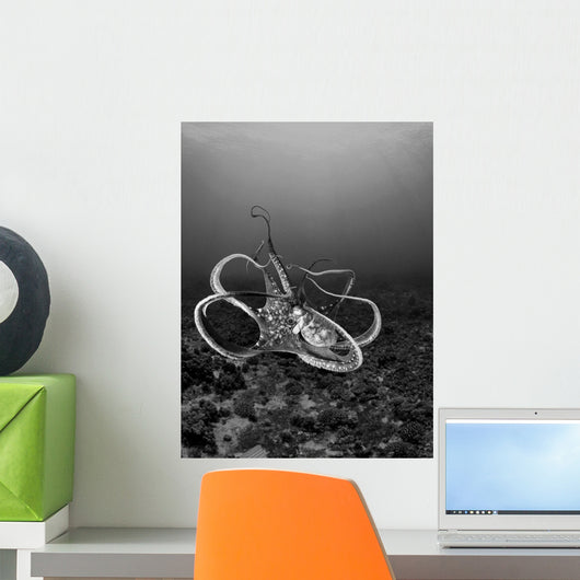 USA Day Octopus Wall Decal Design 1