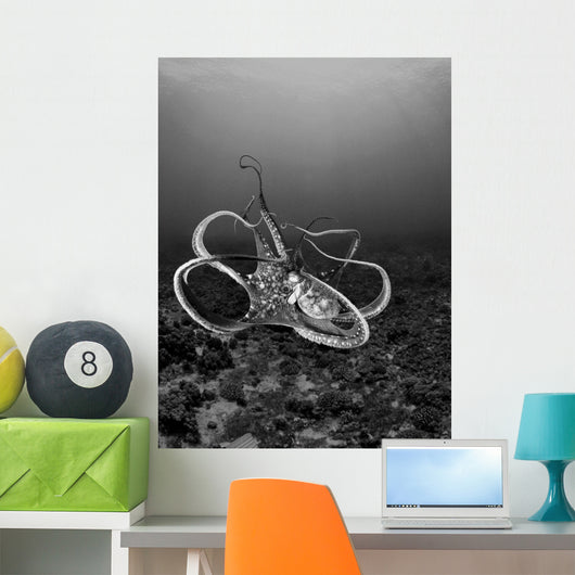 USA Day Octopus Wall Decal Design 1