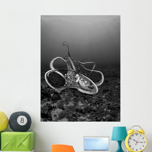 USA Day Octopus Wall Decal Design 1