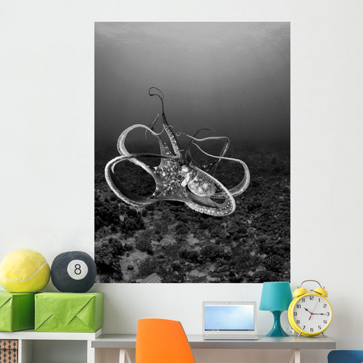 USA Day Octopus Wall Decal Design 1