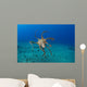USA, Day Octopus Wall Mural