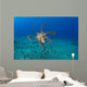 USA, Day Octopus Wall Mural