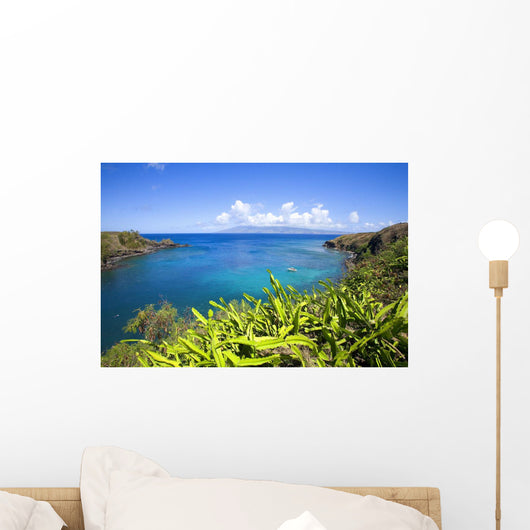Molokai In The Distance Wall Mural