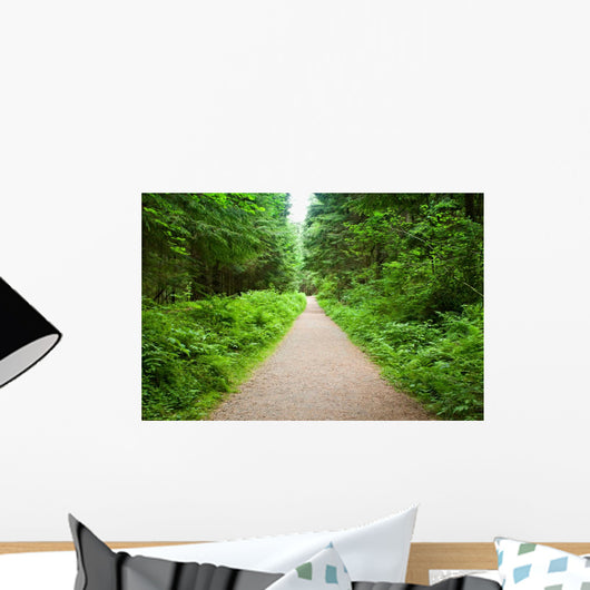Walking Path in Capilano Park, Vancouver Wall Mural