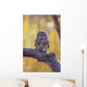 Dark Eyed Barred Owl perching on cottonwood tree Wall Mural